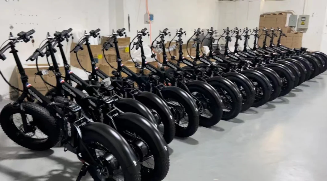 Hot Sale Customized Service Mini Folding Electric Bike E Bike Ebike Electric Bicycle Fat Bike Injection Molding Cycle Motorbike with 48V 350W & ODM/OEM Factory