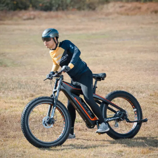 サポートドロップシッピング洗練されたデザインカーボンファイバー電動自転車ファットタイヤ電動自転車レクトリック電動マウンテンバイク MTB