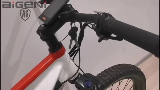 27.5 インチカスタマイズされたサスペンション電動自転車ファットタイヤ電動自転車 MTB